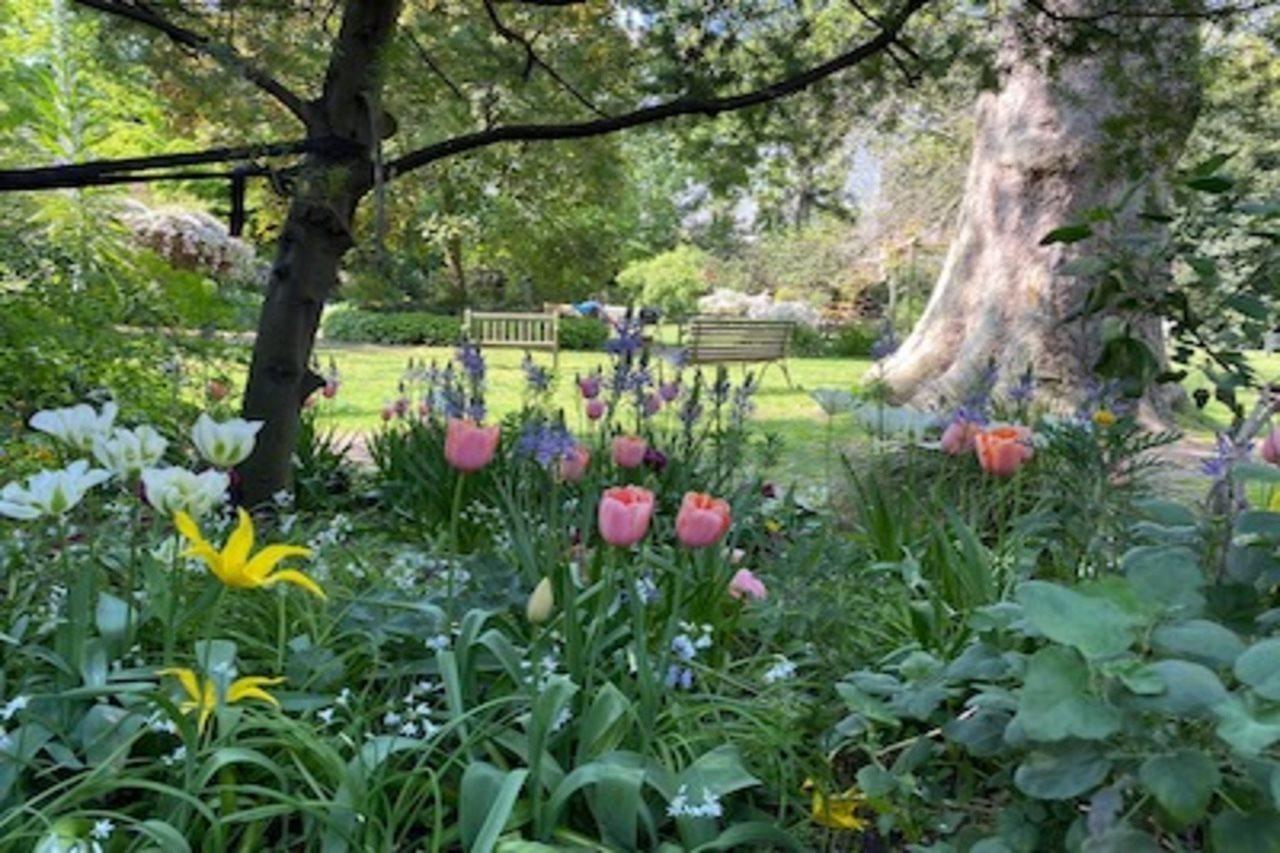 Eccleston Square Hotel London Kültér fotó